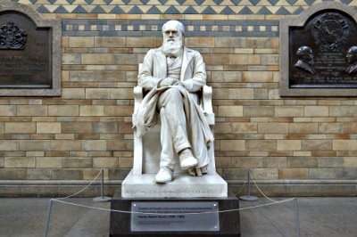  Памятник Дарвину в Музее естественной истории в Лондоне