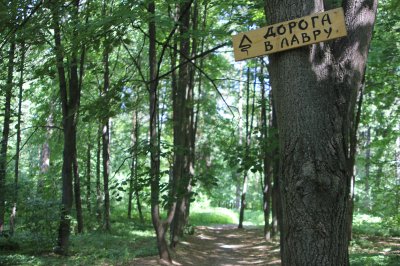 Навигационный знак в лесу