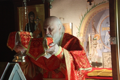 Схиархимандрит Гавриил (Бунге). Фото священника Димитрия Агеева и Андрея Рыбакова